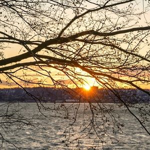 Meet your Posher, Andy